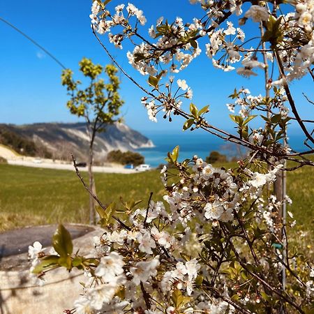 Agriturismo Conero アンコーナ エクステリア 写真
